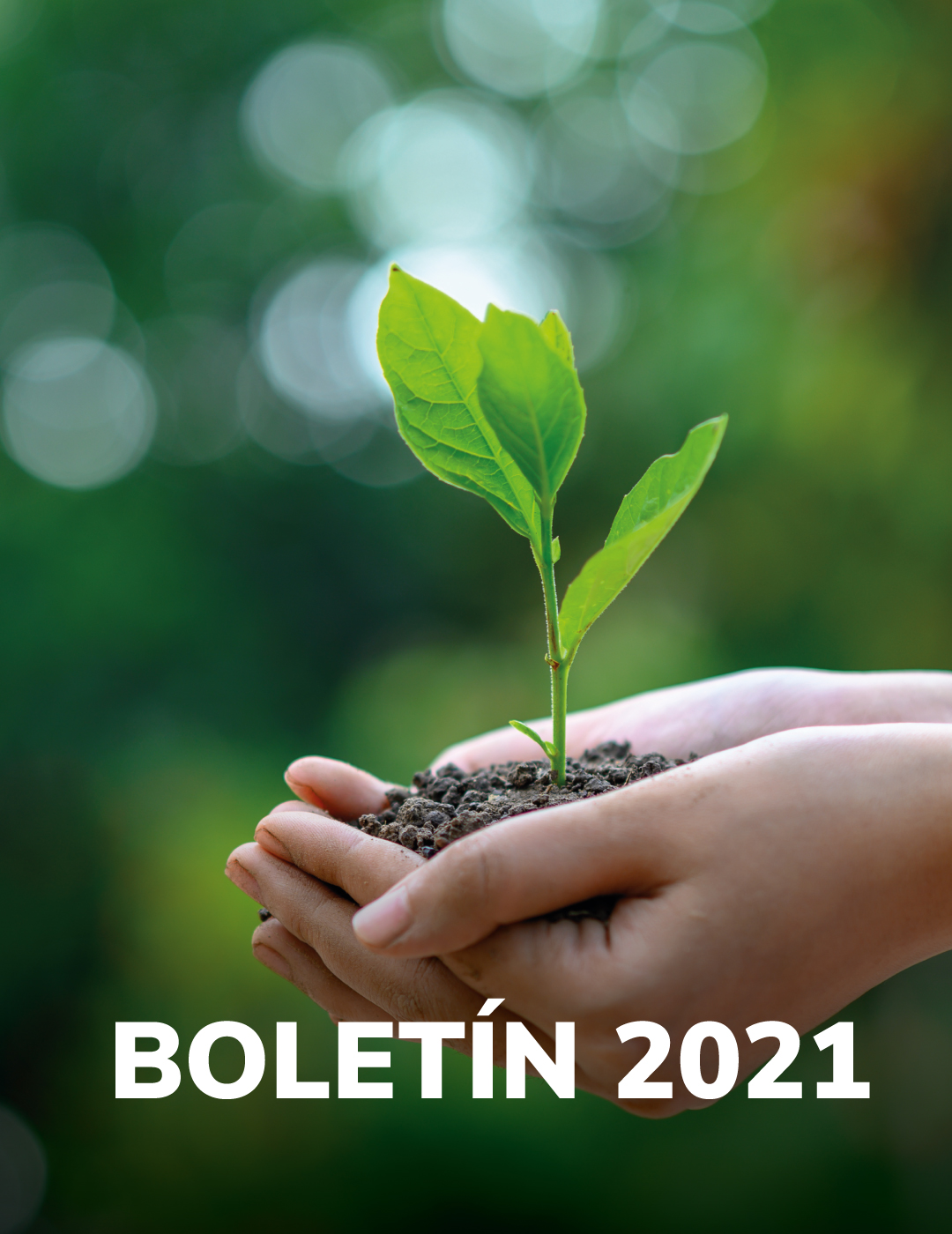 Boletin 2021