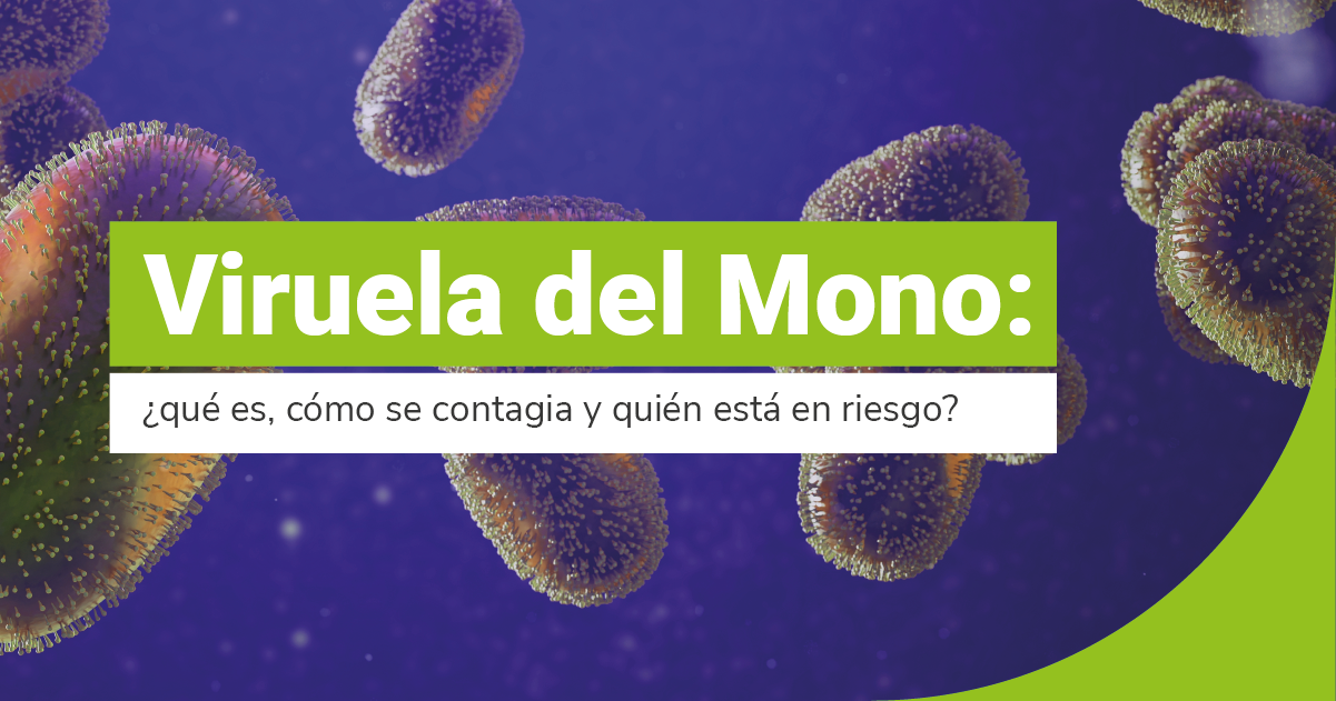 Viruela del mono: ¿Qué es, cómo se contagia y quién está en riesgo?