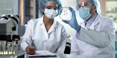 Investigación en Entomología (Específicamente vectores de Enfermedades)