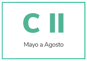 Segundo cuatrimestre