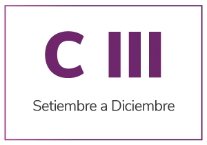 Tercer cuatrimestre