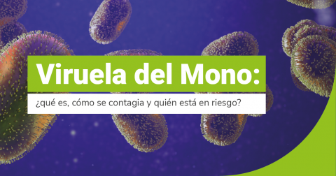 Viruela del mono: ¿Qué es, cómo se contagia y quién está en riesgo?