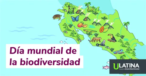 ¿Por qué Proteger las Áreas Marinas Protegidas?