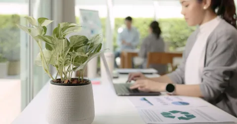 Transformá el Futuro: Contribuí con la Red de Economía Circular