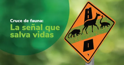 Cruce de fauna la señal que salva vidas 