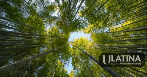¿Tu Título Valdrá a Nivel Mundial? Por Qué el Nuevo Logro de ULatina Asegura tu Futuro Profesional